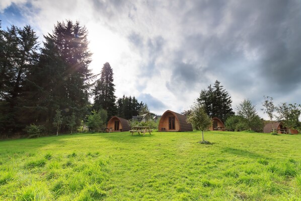 Property grounds - Eco Camp Glenshee (Blairgowrie)