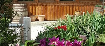 Chambre d'hôtes St Jacques