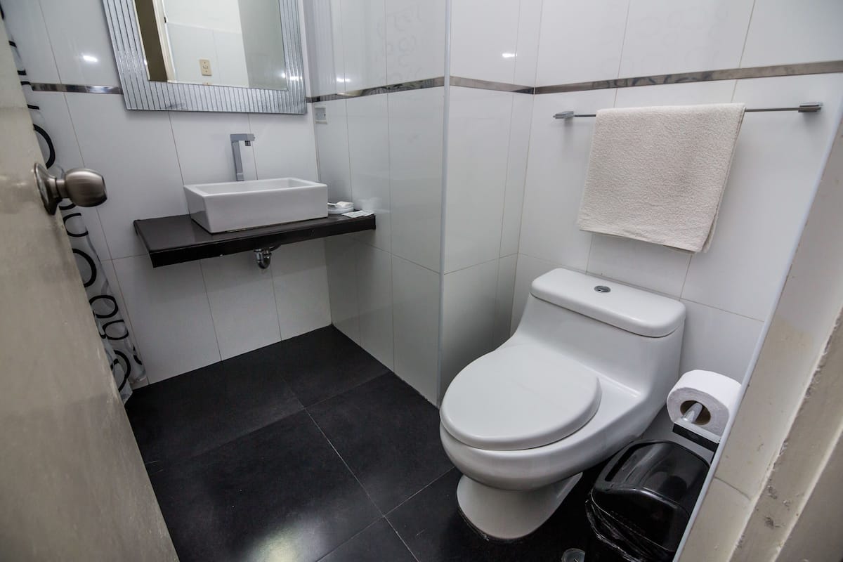 shower, free toiletries, hair dryer, towels