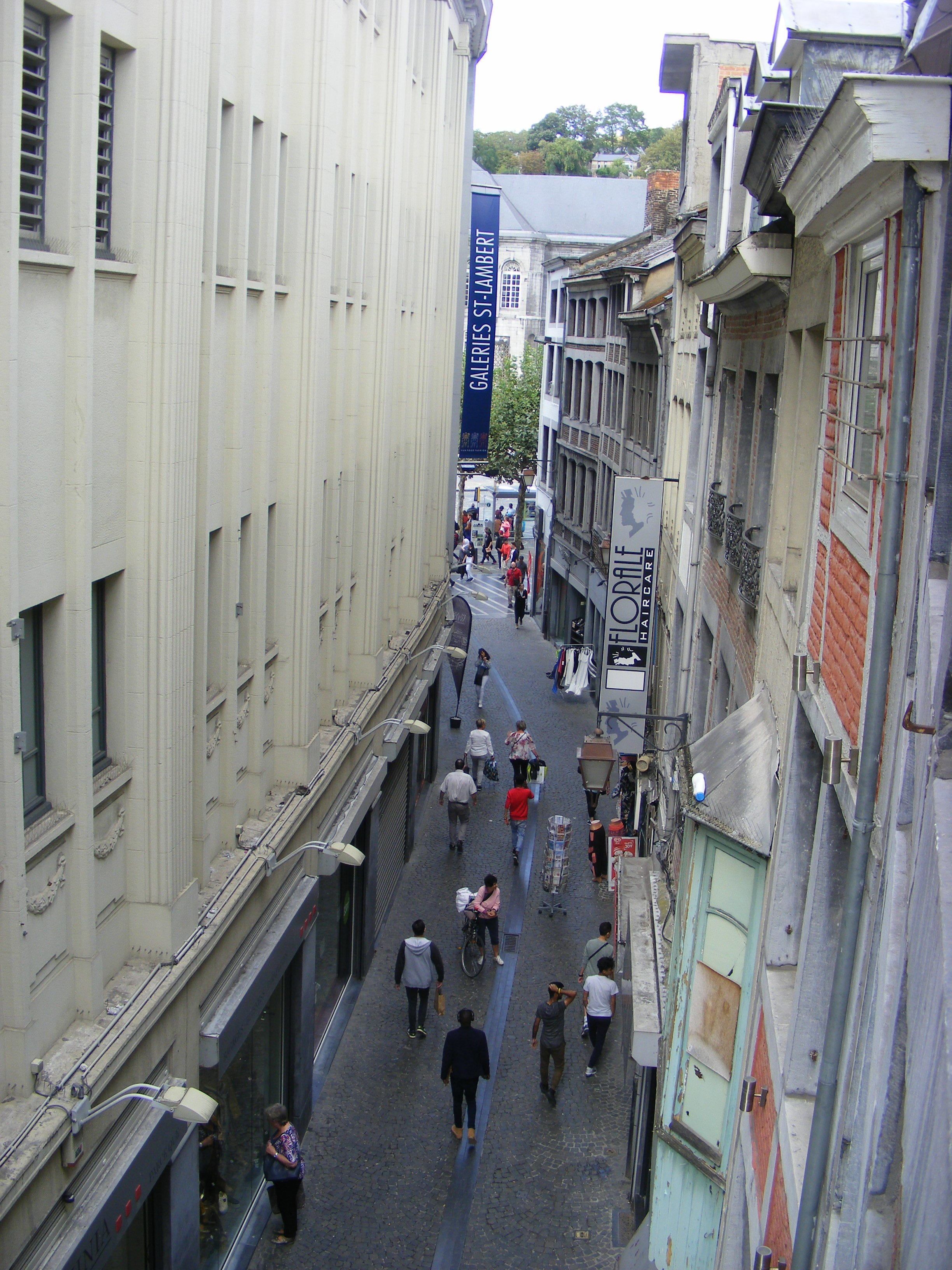Standard Apartment | View from room