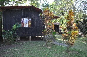 Property grounds - Finca don Litos (Cahuita)
