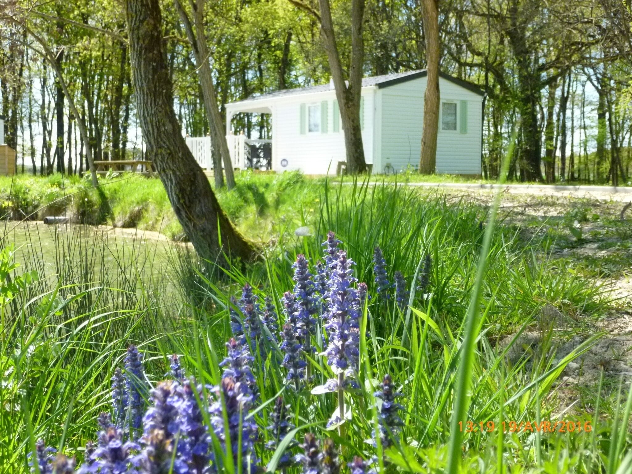 Habitatge mòbil estàndard, 2 dormitoris (4 persons) | Exterior