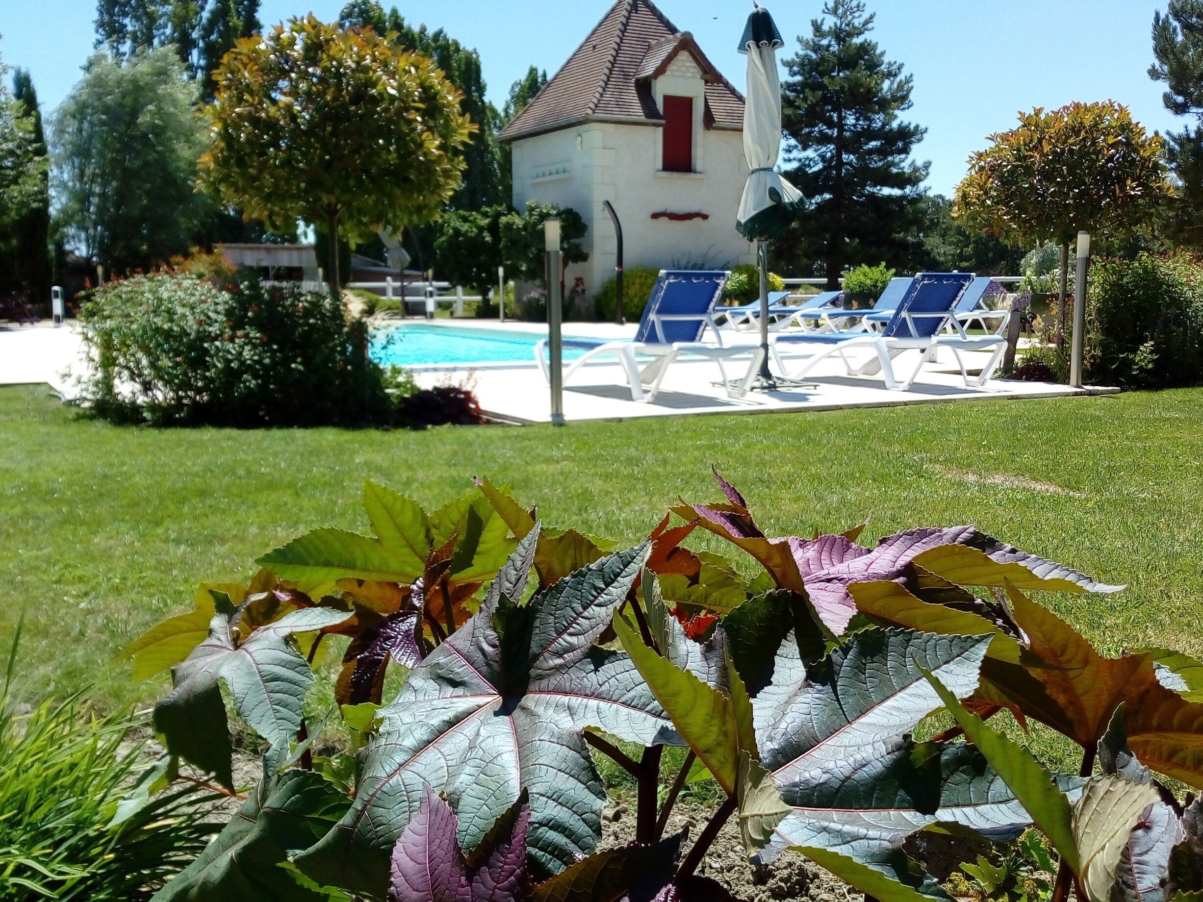 Seasonal outdoor pool, open 9:00 AM to 7:00 PM, pool loungers