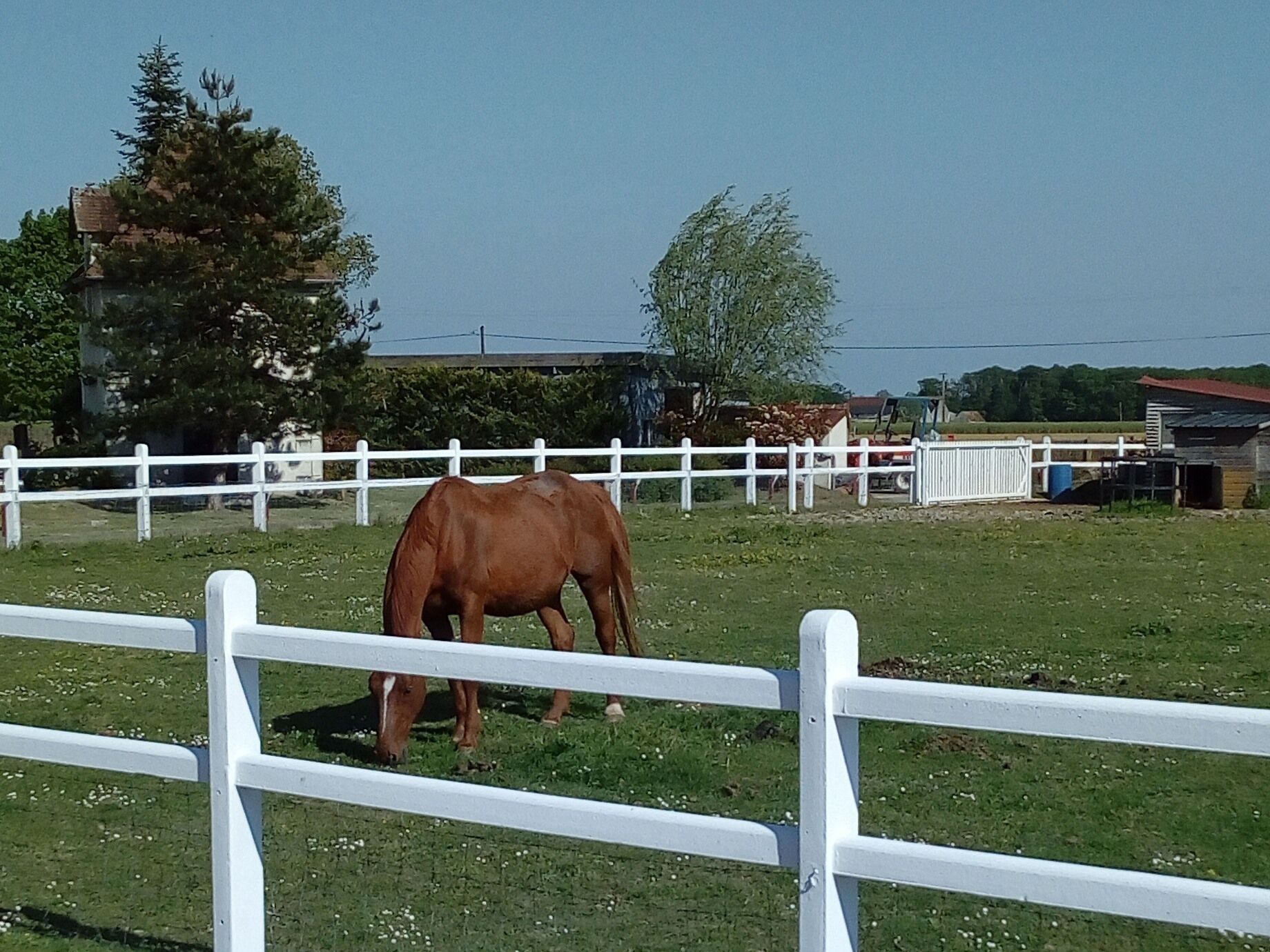 Un écurie avec une clôture blanche et un cheval brun qui broute dans un champ verdoyant.