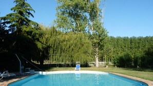 Una piscina con borde de ladrillo, rodeada de árboles y un cielo despejado.