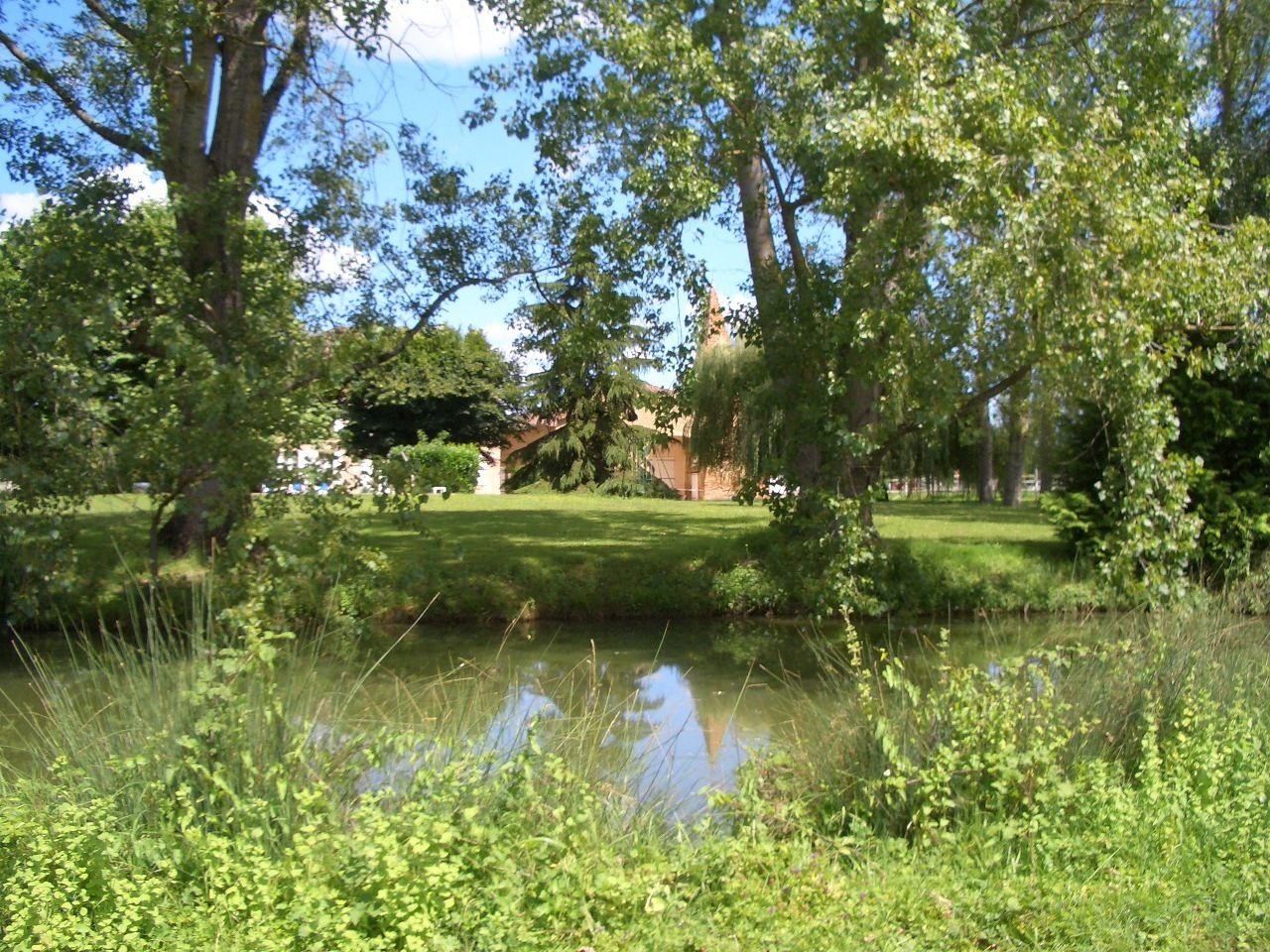 A serene park with a pond, lush greenery, and a bridge.