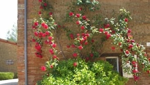 Un edificio de ladrillo con un rosal delante.