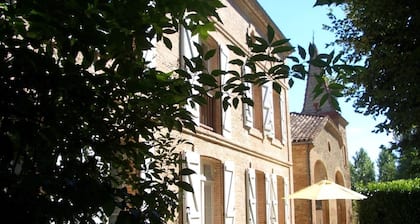 Le Platane
