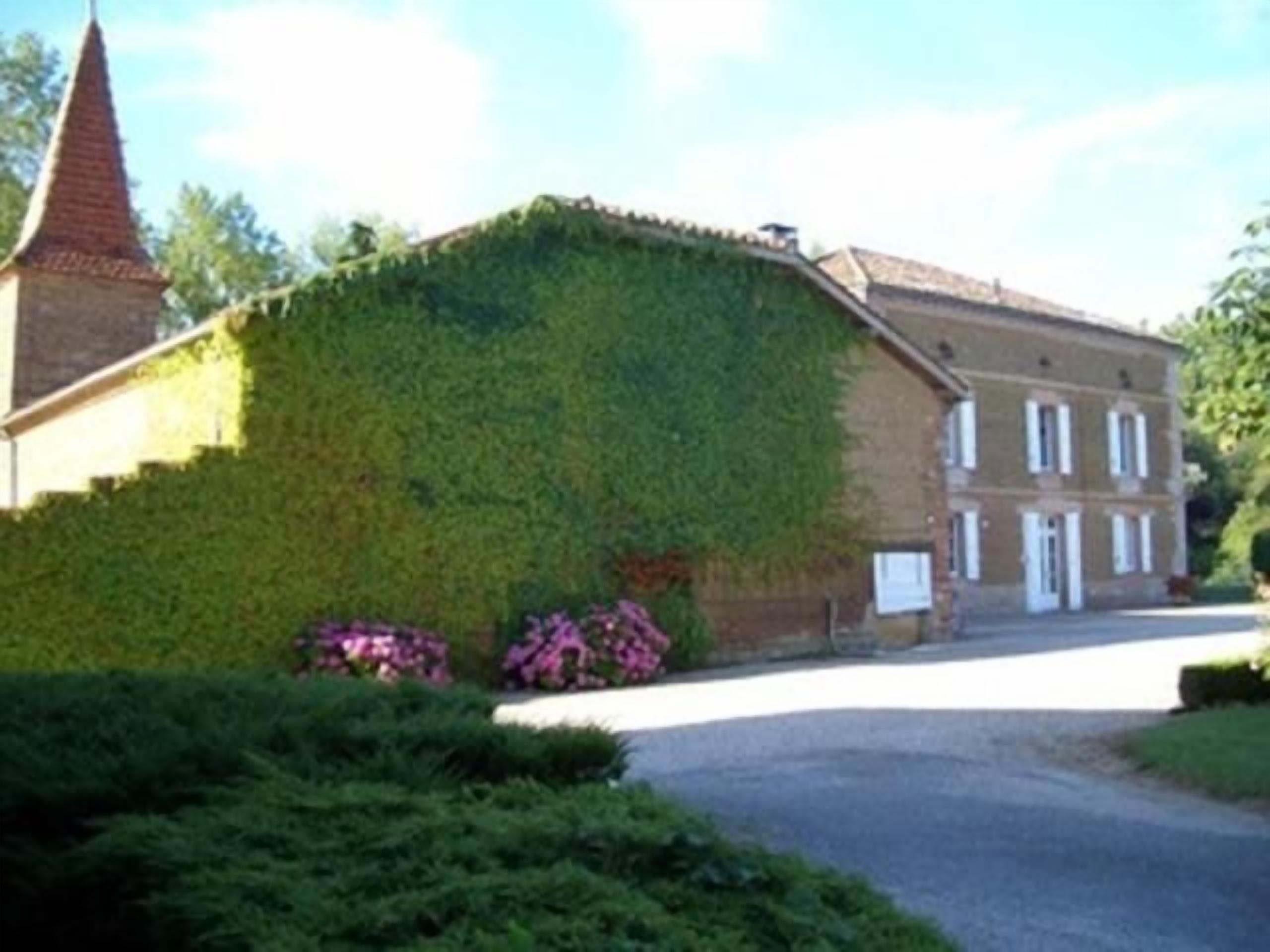 Een gebouw met een steil dak, een bakstenen gevel en een grote, begroeide muur met klimop.