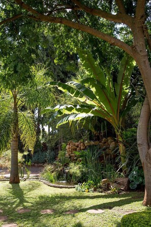 Garden - Greystone Lodge (Harare)