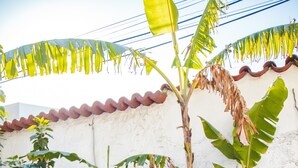 A person sitting on a curved bench in a garden with a white wall and green plants. - Pousada Arraial Caribe (Arraial do Cabo)