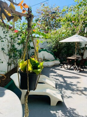 A hanging plant in a black pot suspended by a rope. - Pousada Arraial Caribe (Arraial do Cabo)
