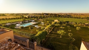 A vineyard with a swimming pool, sun loungers, and a gazebo. - Tenuta Giardini Nuovi (Novoli)