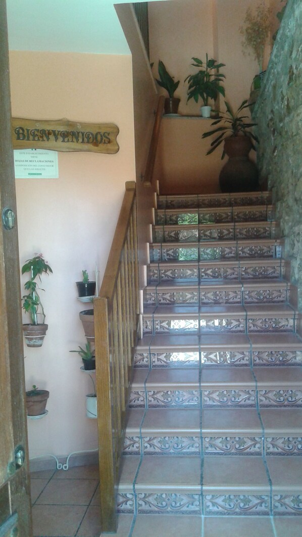 A staircase with ornate tiles and a wooden handrail. There are potted plants on the walls and a sign above the staircase.