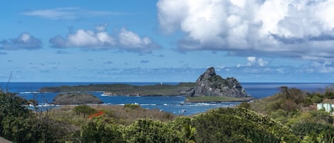 A coastal landscape with a prominent rock formation, lush greenery, and a view of the ocean.