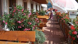 An outdoor seating area with wooden benches and potted plants. - Hotel Schwarzwaldgasthof Zur Traube (Titisee-Neustadt)