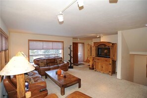 電視、壁爐、 DVD 播放機