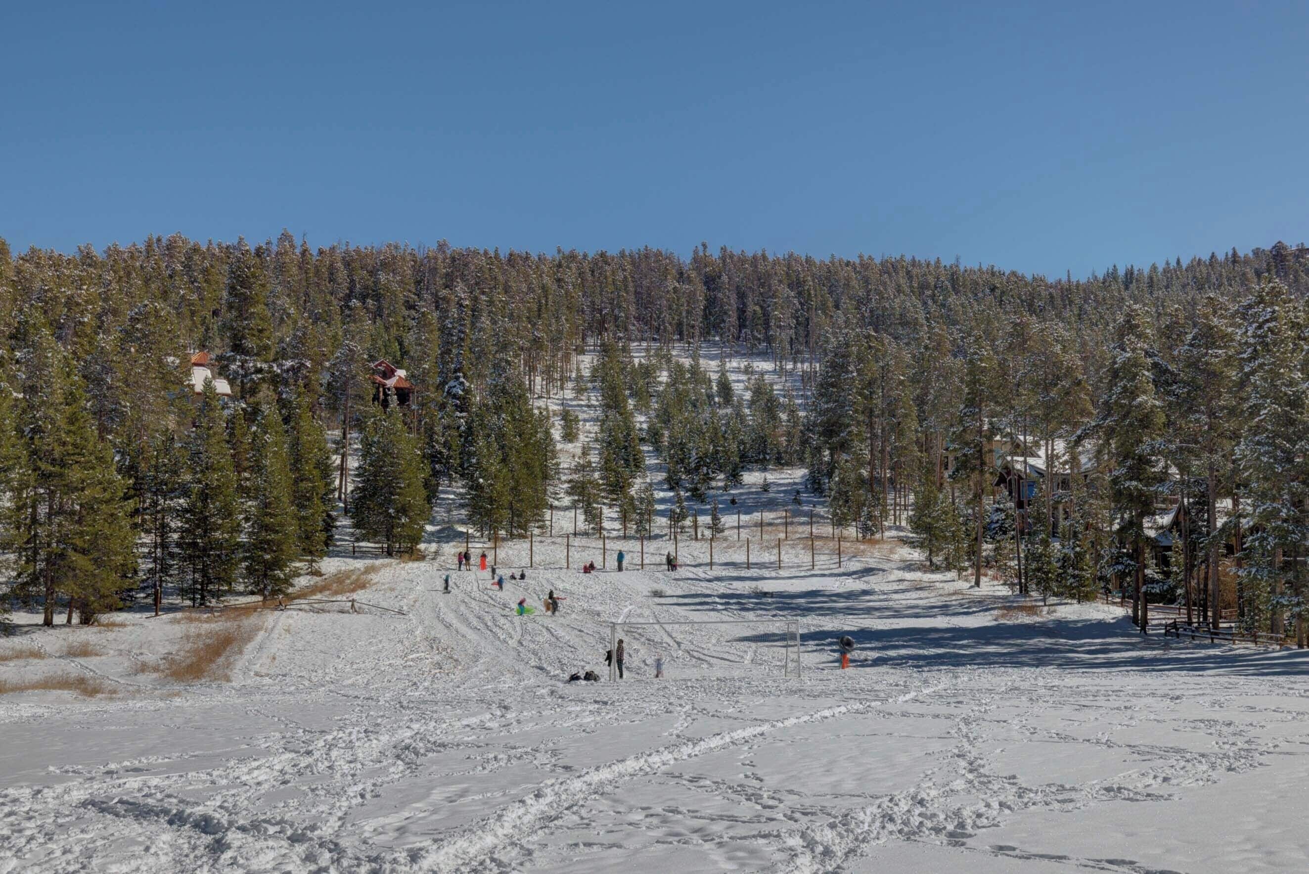 Una pista de esquí nevada con cielo despejado, rodeada de frondosos árboles de hoja perenne.
