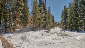 Exterior - Tannenbaum #105 (Condo with Pool & Hot Tub) (Breckenridge)