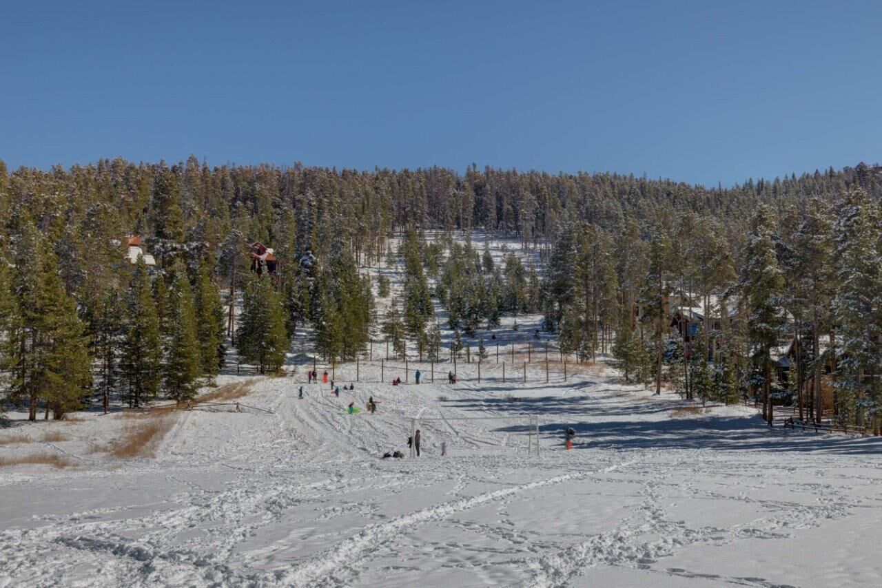 Ein verschneiter Skipisten mit Bäumen und Gebäuden im Hintergrund.