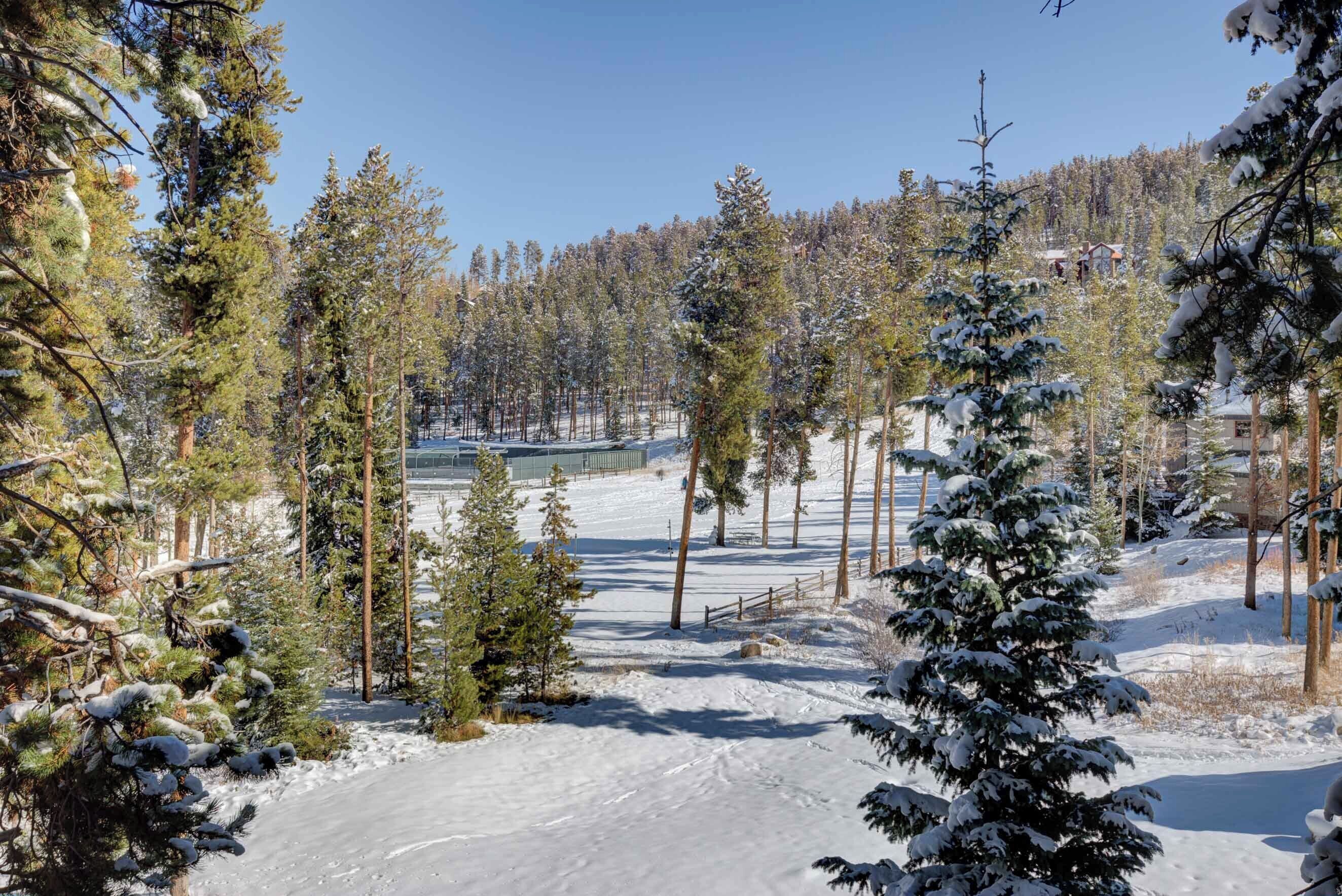 A snow-covered landscape with a clear sky, a ski slope, and a forested area.