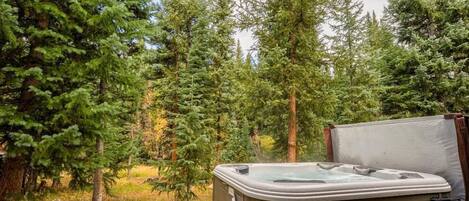 Deluxe Townhome, 3 Bedrooms, Hot Tub, Mountain View | View from room
