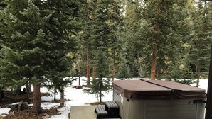 Een hottub in een besneeuwd bos, met een pad van beton er naartoe.