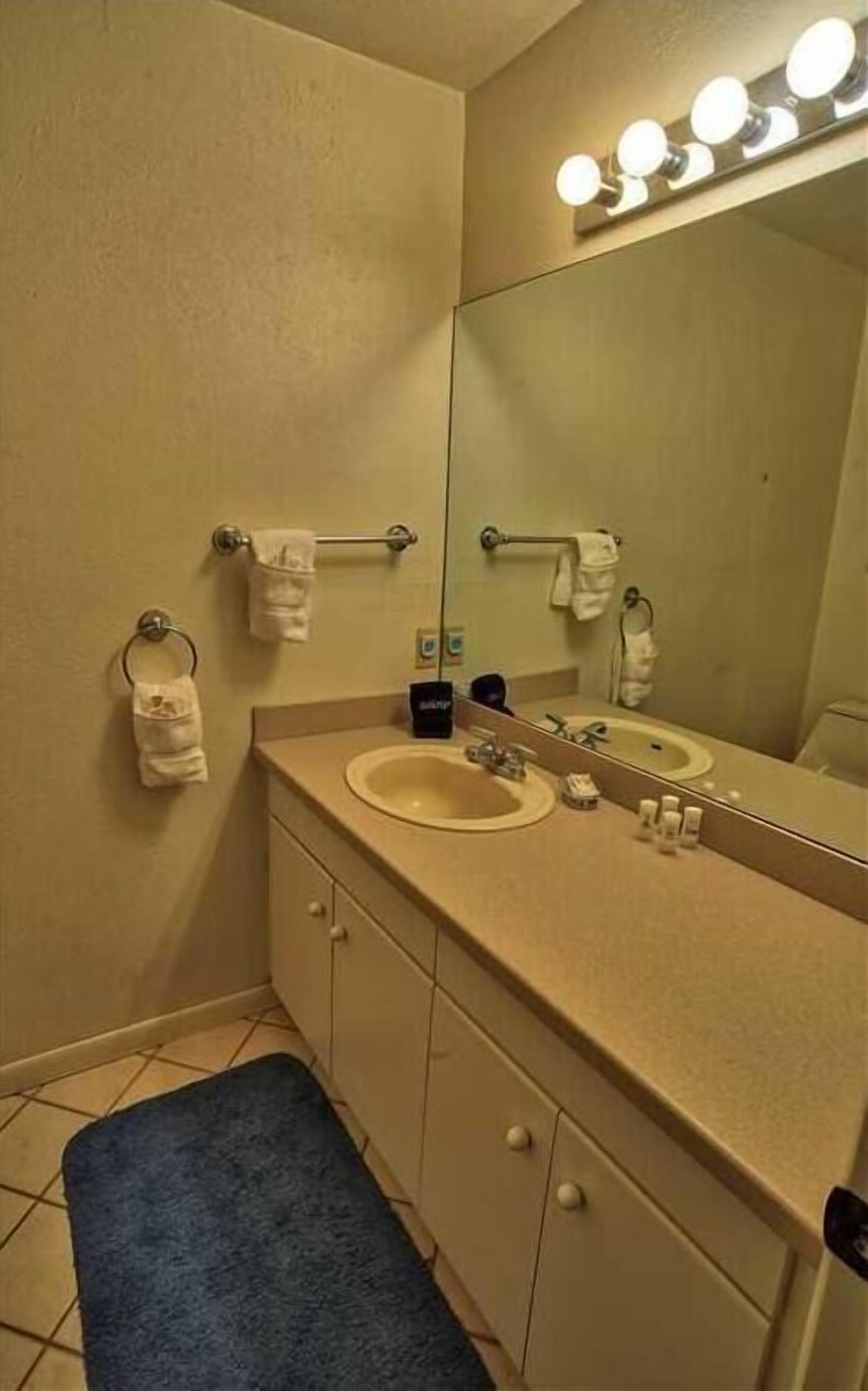 Une salle de bain avec un lavabo, un miroir et un porte-serviettes.