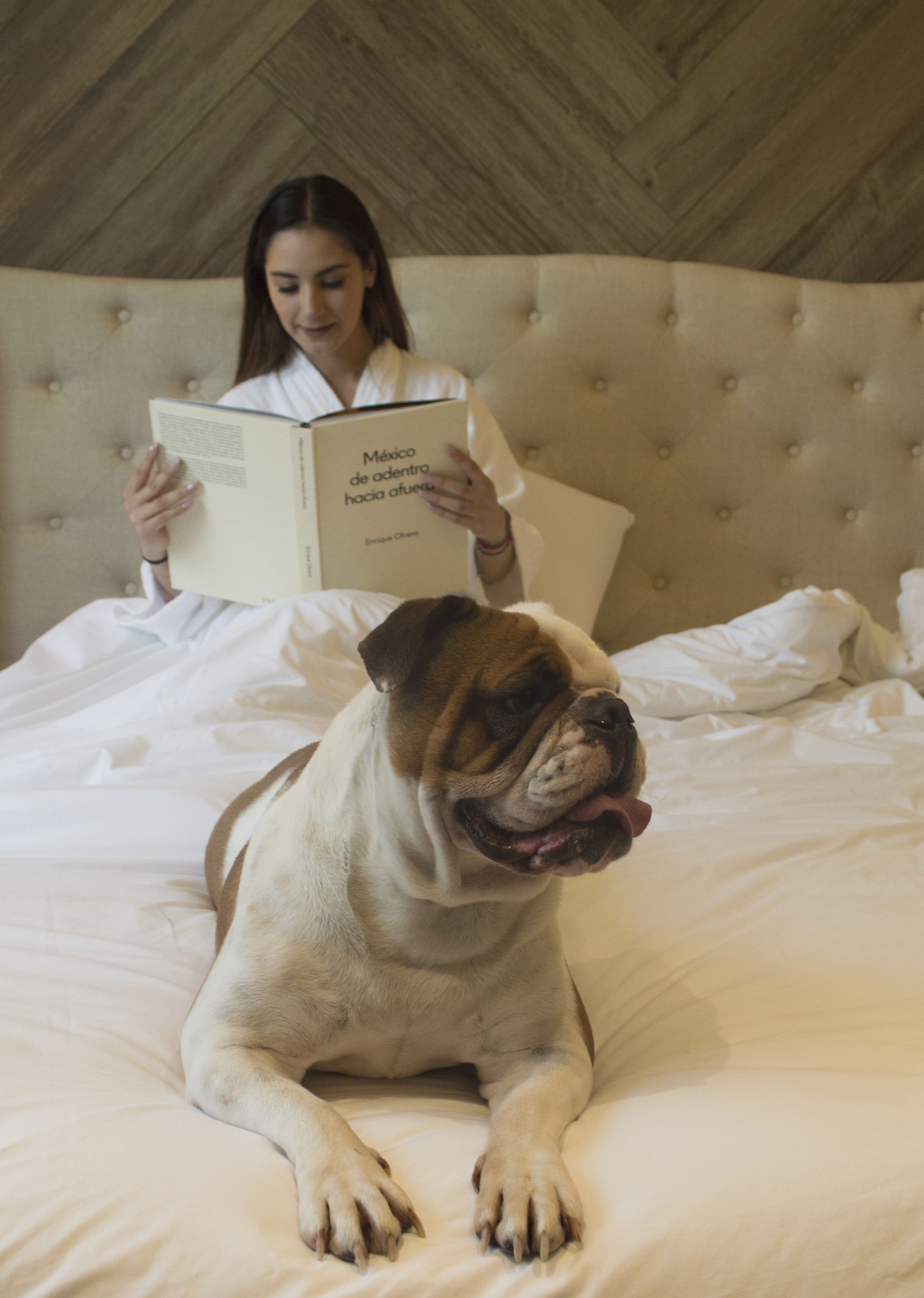 Una persona leyendo un libro en una cama, con un perro acostado a su lado.