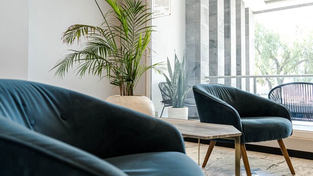A modern interior with a dark blue sofa, a wooden table, and a potted plant. - Casa Basalto (Pachuca)