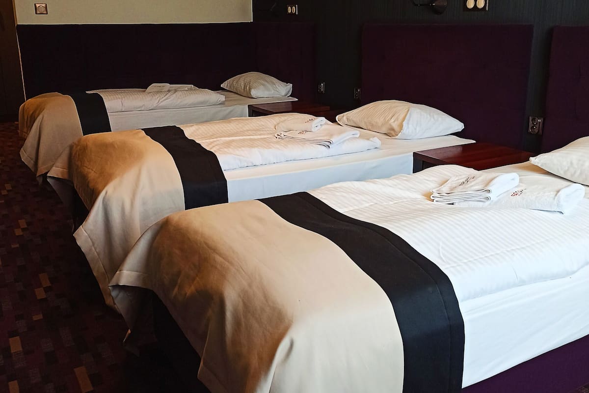 Business Triple Room, 3 Twin Beds | Desk, iron/ironing board (on request), cribs (free)
