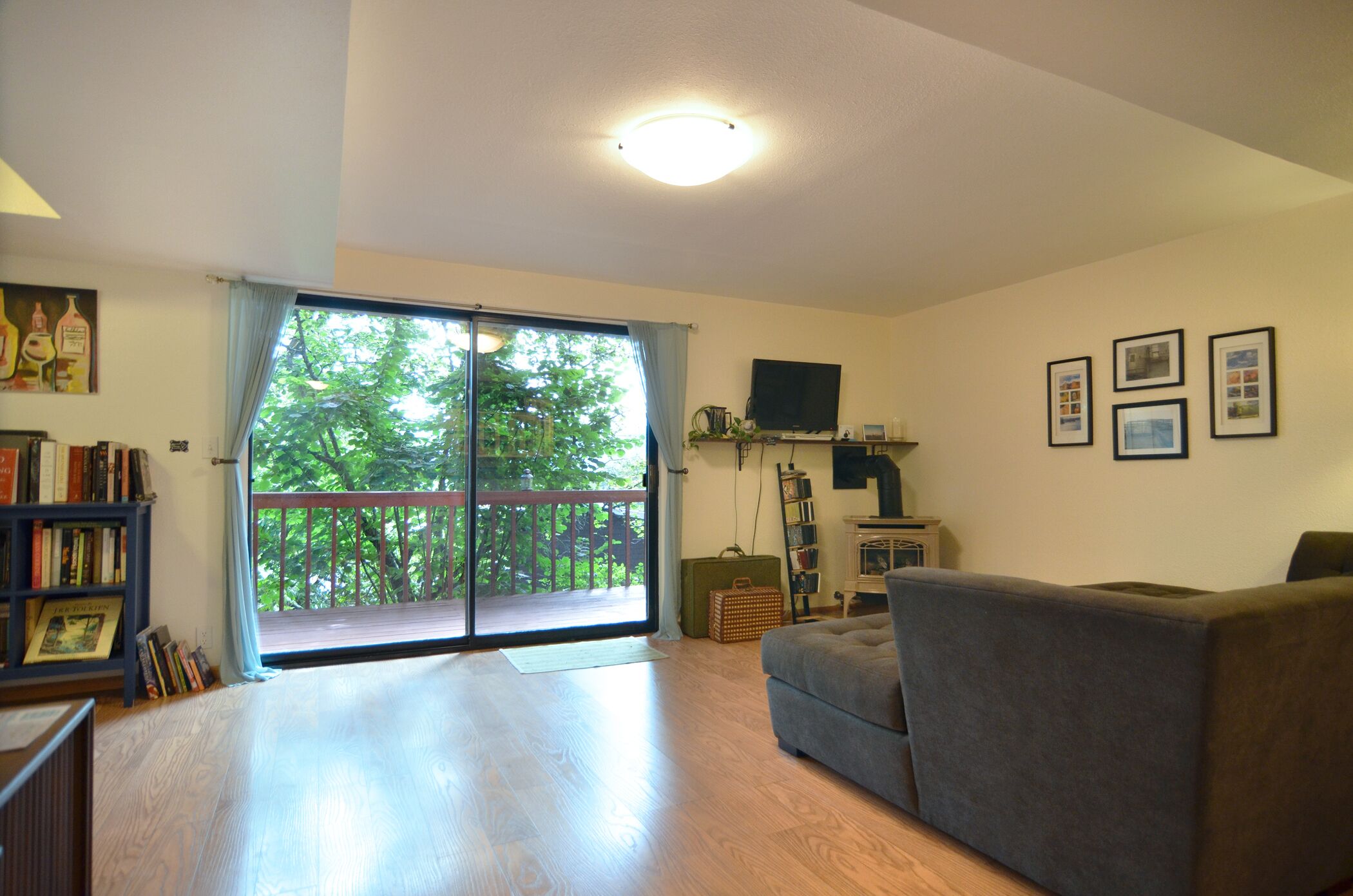 Smart TV, fireplace, DVD player, books