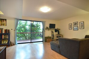 تلفزيون ذكي، مدفأة، مشغل دي في دي، كُتُب