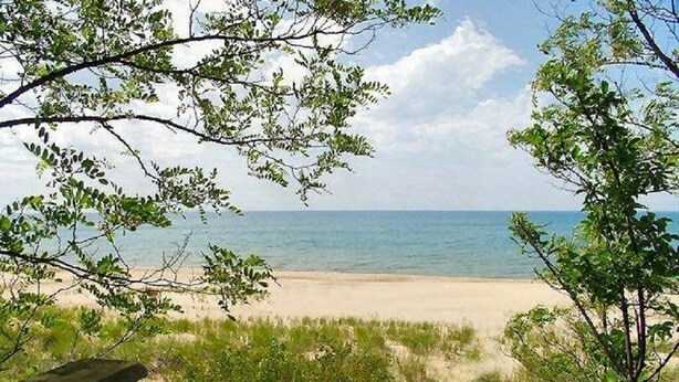 Vista sulla spiaggia con un sentiero di legno che conduce alla riva, immerso nel verde.