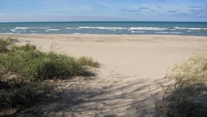 A beach with sand and sparse vegetation.