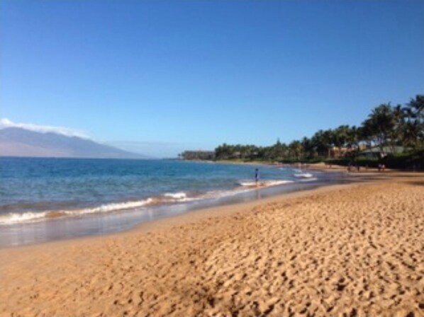 Beach nearby, sun-loungers, beach towels