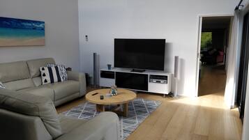 Smart TV, chimenea, reproductor de DVD y libros