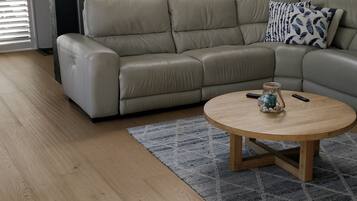 TV connectée, cheminée, lecteur de DVD, livres