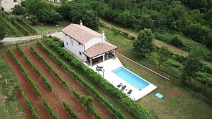 A house with a swimming pool, surrounded by rows of grapevines.