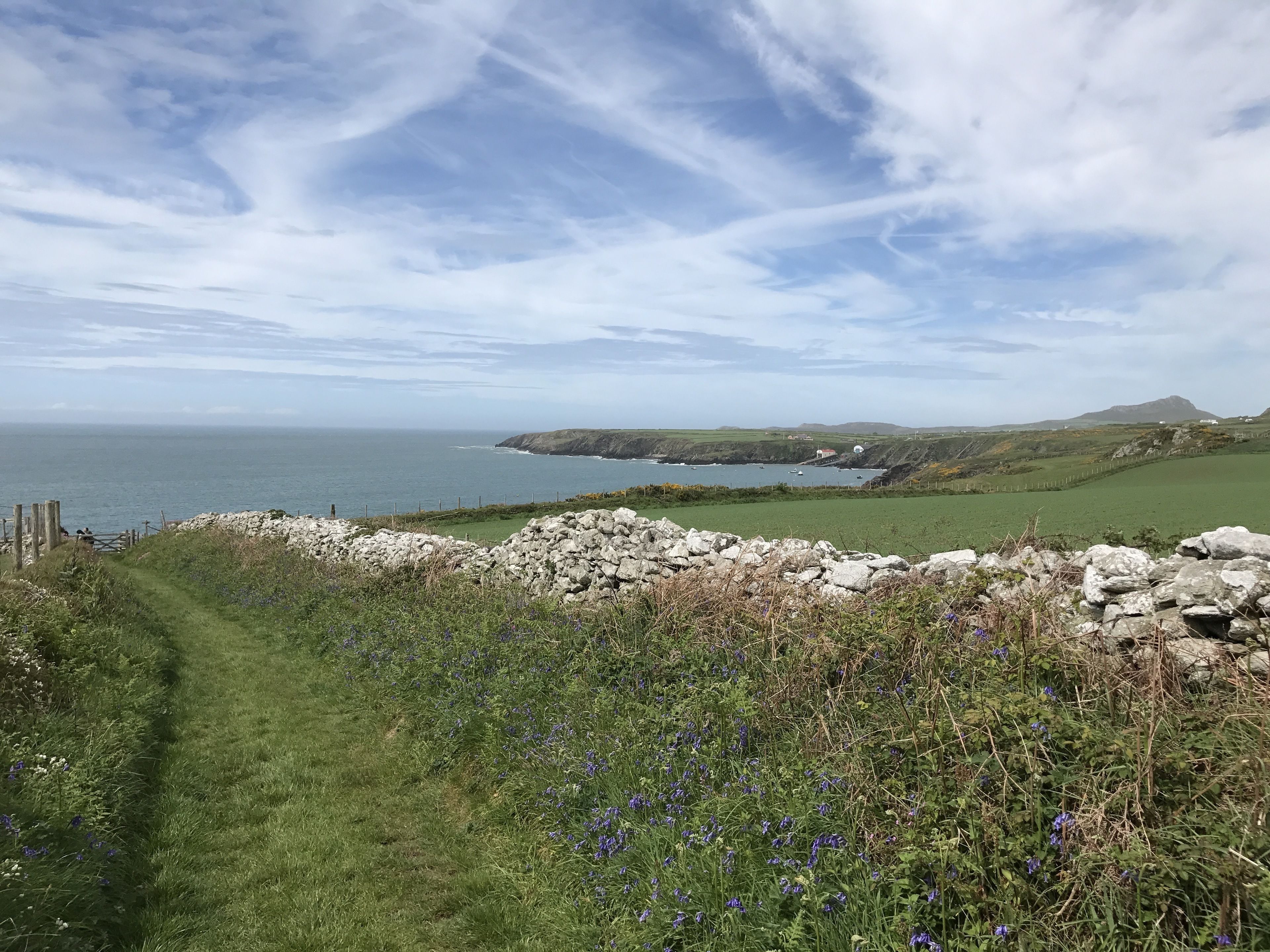 A coastal landscape with a stone wall, grassy path, and wildflowers.