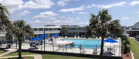Zona de piscina con sillas de descanso y sombrillas, rodeada de palmeras y una valla.