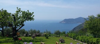 REMIGIU Résidence typique avec une vue magnifique sur la mer dans le parc national des 5 Terre