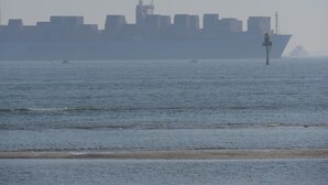 A large cargo ship in the distance with a lighthouse in the foreground.