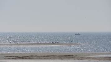 Vlak bij het strand