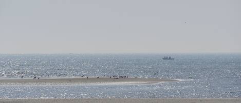 Una spiaggia nelle vicinanze