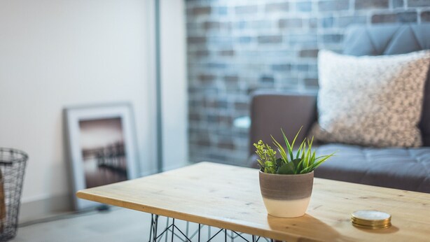 Ein modernes Wohnzimmer mit Couchtisch aus Holz, einer Topfpflanze und einem grauen Sofa mit gemustertem Kissen.