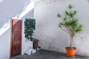 Una puerta con un número, una planta en maceta y una pared.