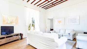 Een flatscreentelevisie, een open haard, videogames en Netflix