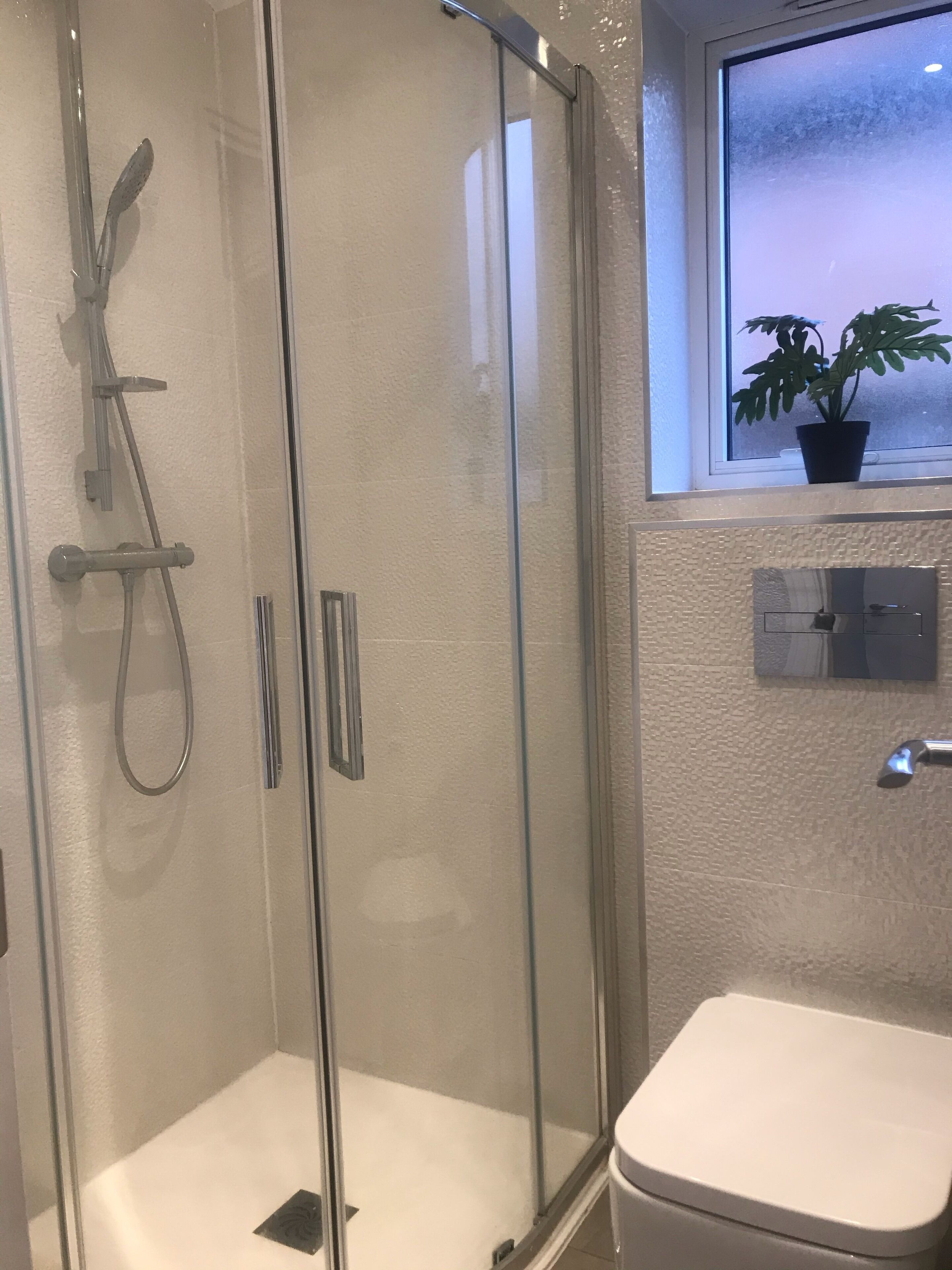Une douche en verre avec un pommeau de douche à main et un flexible de douche, des toilettes blanches et une fenêtre agrémentée d’une plante en pot.