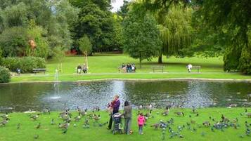 Ein Park mit Teich, Enten und Menschen.
